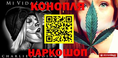 мдпв Татарск